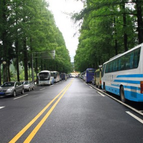 七月采风季之十一  井冈山1