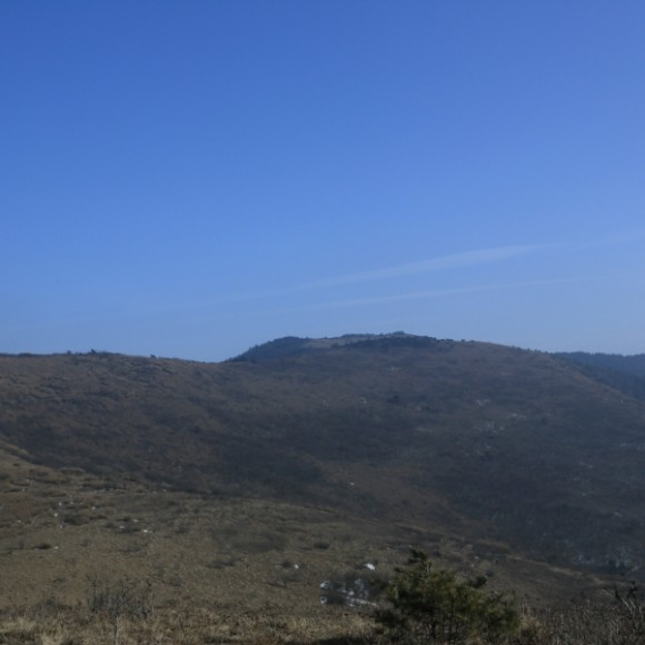 秦岭草甸随拍请多多指教