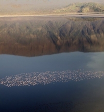 天空下的东方禅意动物写意