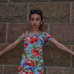 环城西苑（四）