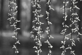 记载四季的足迹~~~~~