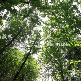 川西~我的甲居藏寨