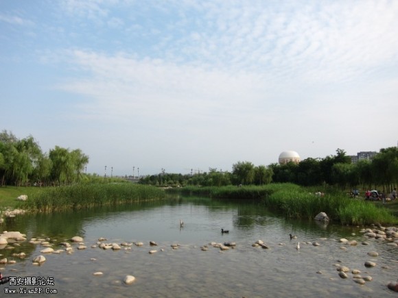 小河流水嘎嘎叫