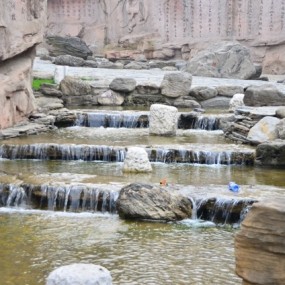 12月4日，芙蓉园一游