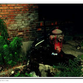 快门1W1 前来交几张作业 望指点。