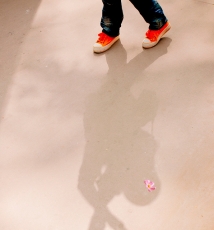 时光里的花开花落……