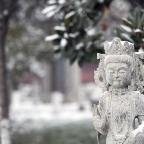 小雁塔的一顿乱拍