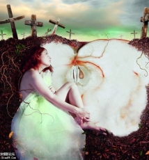 枕在圣经上做梦