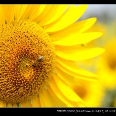 好久没回来了！