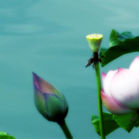 再战丰庆。。。