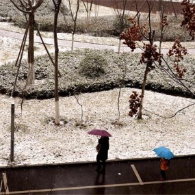 昨晚古城迎来大雪