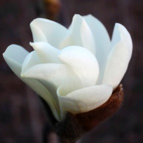 2011春天一个傍晚