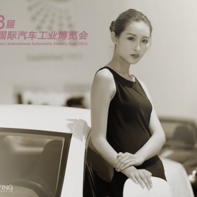 2014中国沈阳国际汽车博览会【车模续篇】