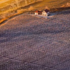 直升飞机上拍摄的酸爽