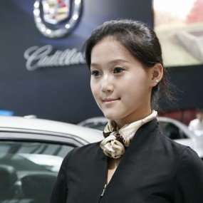 认真的销售顾问