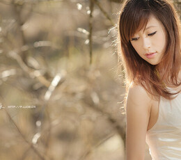 以前的作品.冬季温暖的阳光