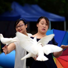 老婆  女儿和白鸽