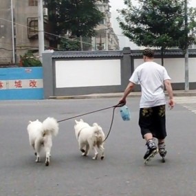 绿色环保，有意思的老外