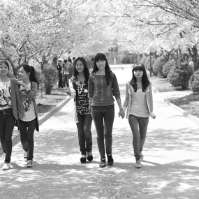 【那时花开】--思源学院