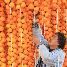 丰收的喜悦-富平柿子