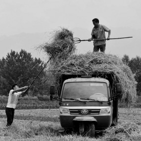 西部乡村影像（78）