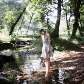 那么多阳光等着你采摘