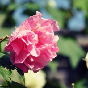 初次发片，望多指教！