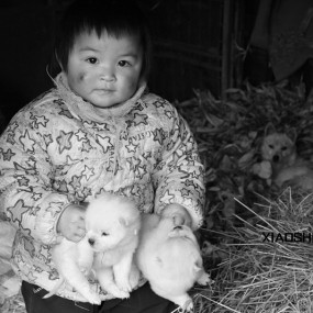 新手来此领教各位大师经验，新年新学习。