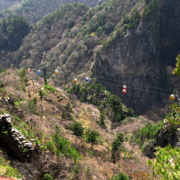 朱雀森林公园随拍。
