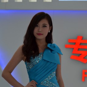 国庆车展美女（十一）