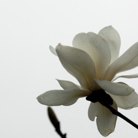 2011春天如同相机的快门一样轻快