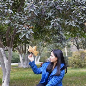 丰庆公园人像拍摄