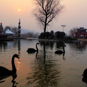 曲江南湖随拍（3P）