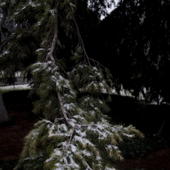 古城西安的第一场雪