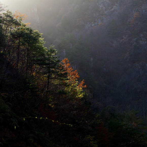 雾霾天气  森呼吸