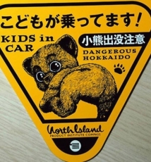 北海道的摄影旅行 盛开在初夏的春天