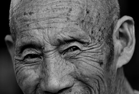 《年轮》——单幅