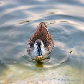 即兴拍摄  不成体系