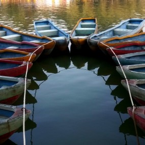 手机随拍-2（2015）