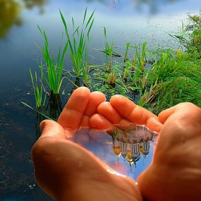 32张不可思议的精彩照片