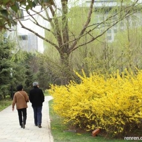 心情不好瞎拍着玩  （大神轻点拍砖啊）