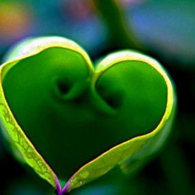 小眼睛，大嘴巴