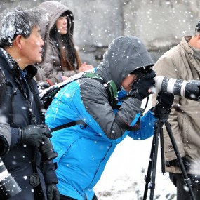 执着任性摄影人