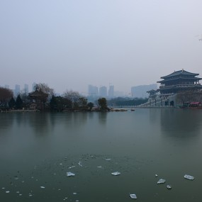 芙蓉园冬日练手