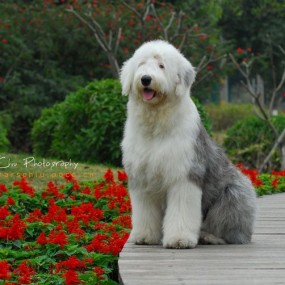 Jessicaの文艺青年的各种范儿