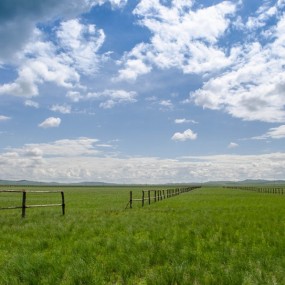 内蒙锡林浩特盟大草原
