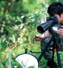 “占卜者”写真 放大野螳螂的生活