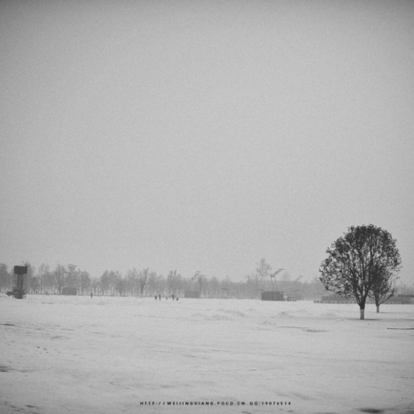 年二九的那场瑞雪！