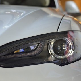 最后一天 去的绿地  去晚了  没有妹子了 带的中长焦 随拍了些