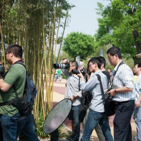 发现美-世园会-全民摄影大赛花絮篇四